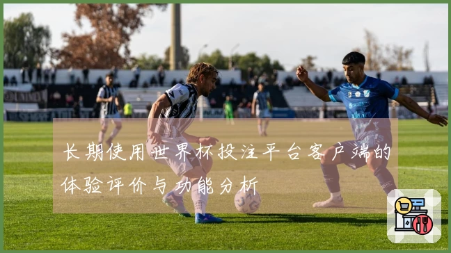 长期使用世界杯投注平台客户端的体验评价与功能分析