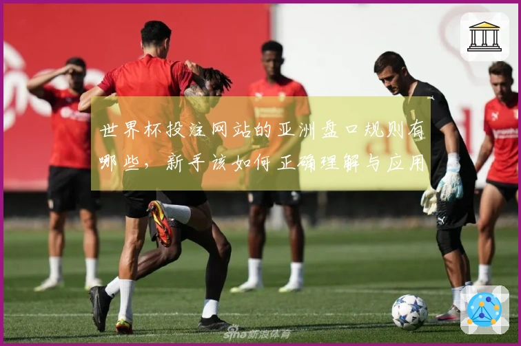 世界杯投注网站的亚洲盘口规则有哪些，新手该如何正确理解与应用？