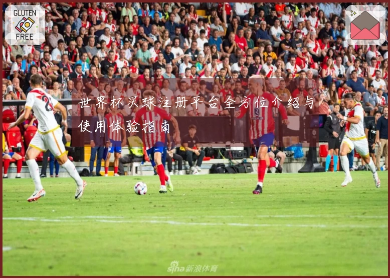 世界杯买球注册平台全方位介绍与使用体验指南