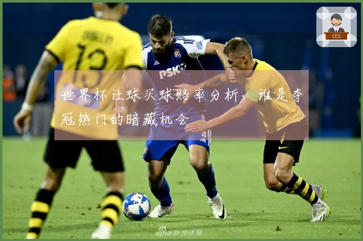 世界杯让球买球赔率分析,谁是夺冠热门的暗藏机会