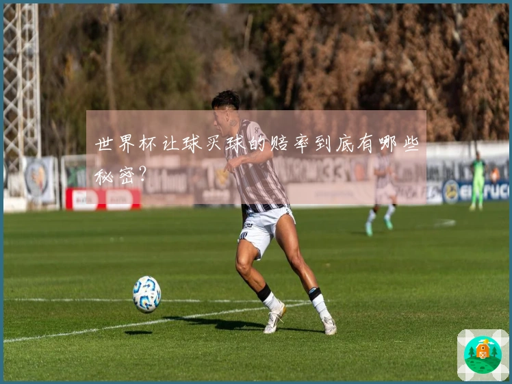 世界杯让球买球的赔率到底有哪些秘密?