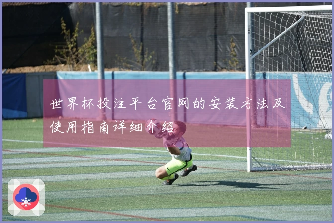 世界杯投注平台官网的安装方法及使用指南详细介绍