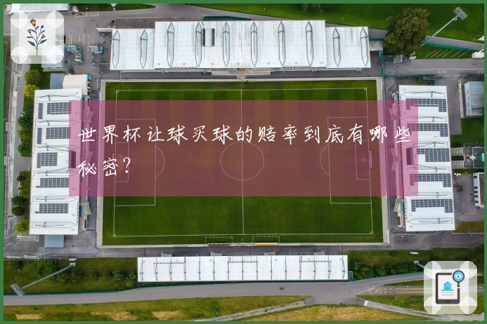 世界杯让球买球的赔率到底有哪些秘密？
