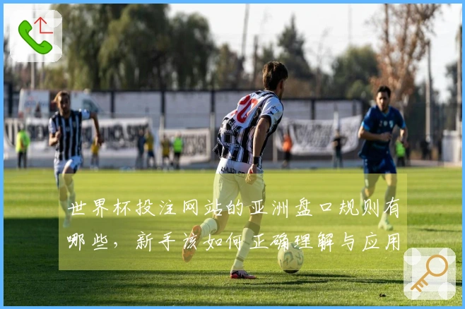 世界杯投注网站的亚洲盘口规则有哪些,新手该如何正确理解与应用?