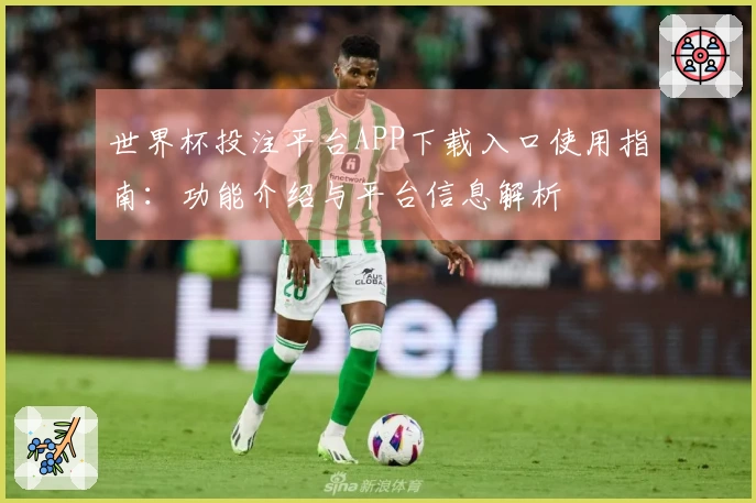 世界杯投注平台APP下载入口使用指南：功能介绍与平台信息解析