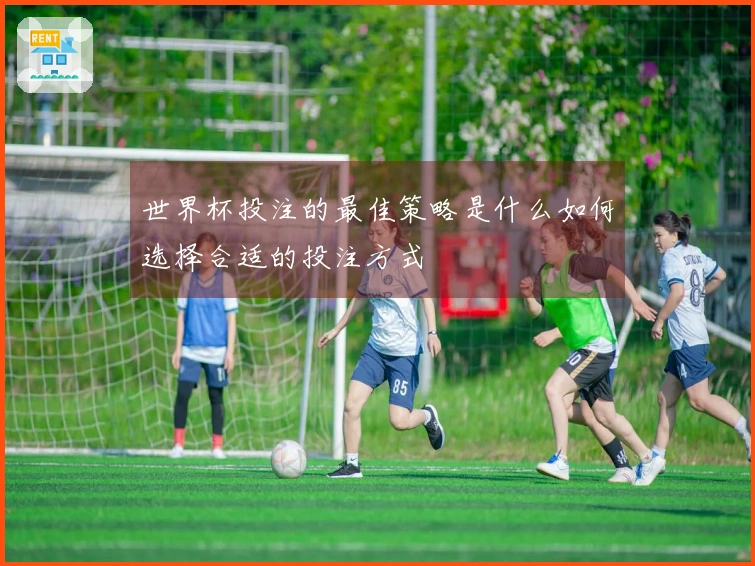 世界杯投注的最佳策略是什么如何选择合适的投注方式