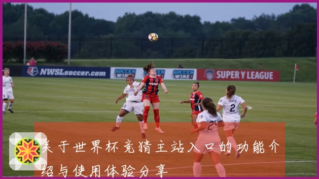 关于世界杯竞猜主站入口的功能介绍与使用体验分享
