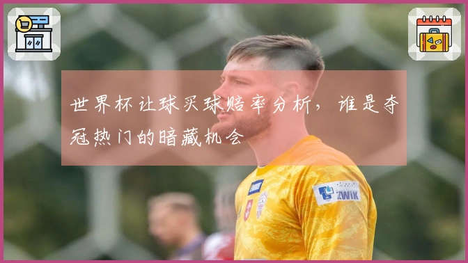 世界杯让球买球赔率分析，谁是夺冠热门的暗藏机会