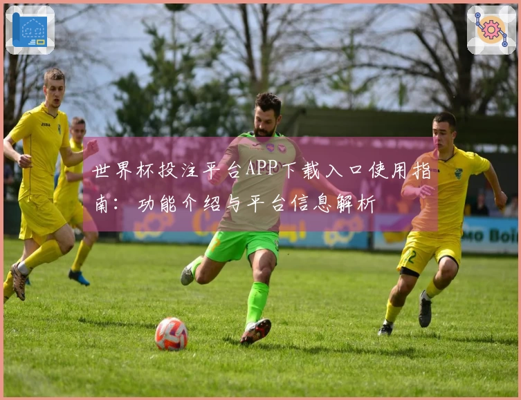 世界杯投注平台APP下载入口使用指南:功能介绍与平台信息解析