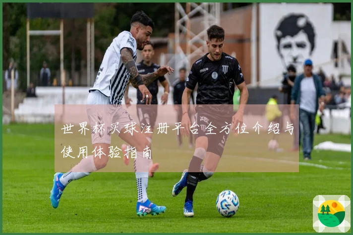 世界杯买球注册平台全方位介绍与使用体验指南