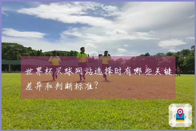 世界杯买球网站选择时有哪些关键差异和判断标准?